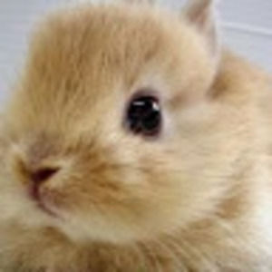 Meet your Posher, Greg